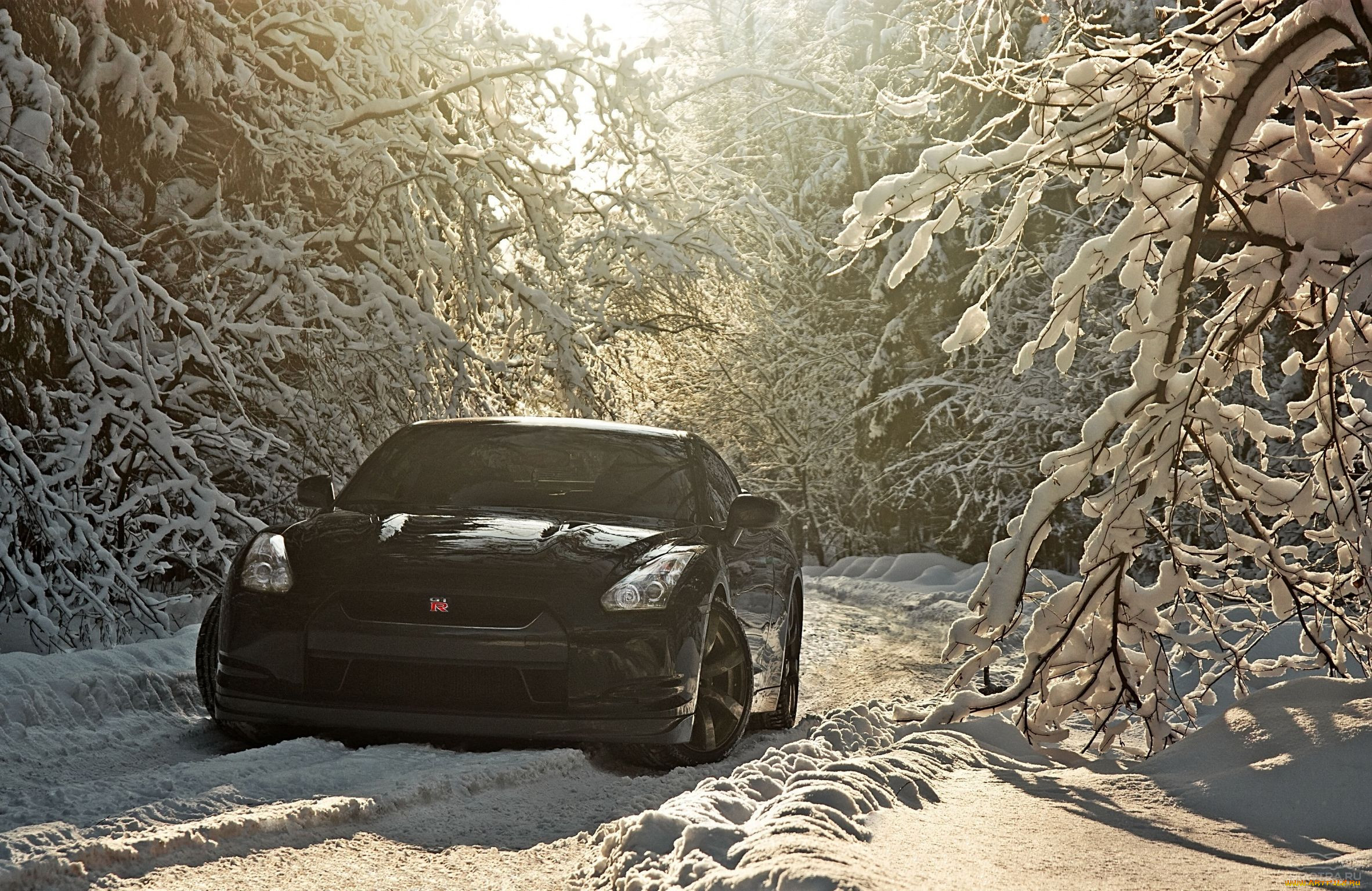 , nissan, datsun